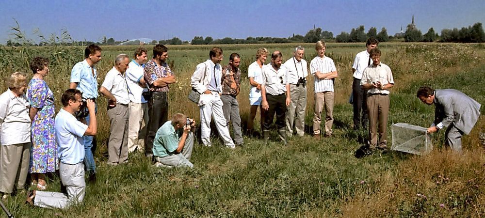 Het loslaten van de pimpernelblauwtjes in 1990 (foto: Chris van Swaay)