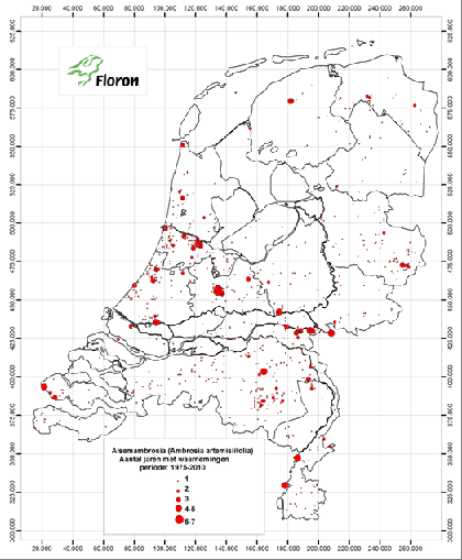 Hotspots van Alsemambrosia in Nederland op basis van aantal jaren met waarnemingen in de periode 1975 t/m 2010 (bron: NDFF, Natuurkalender, Waarneming.nl) 