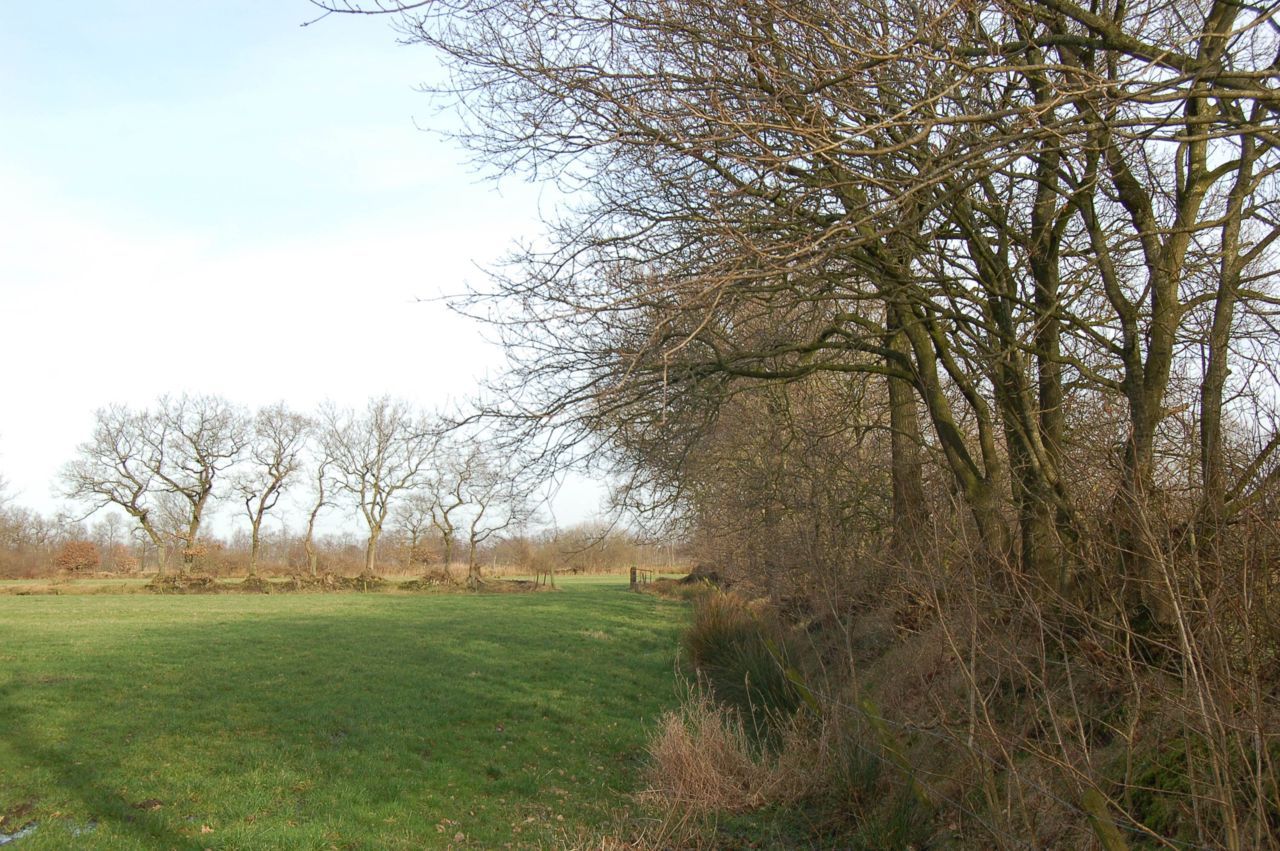 Houtwallenlandschap bij Eastermar (foto: Landschapsbeheer Friesland)