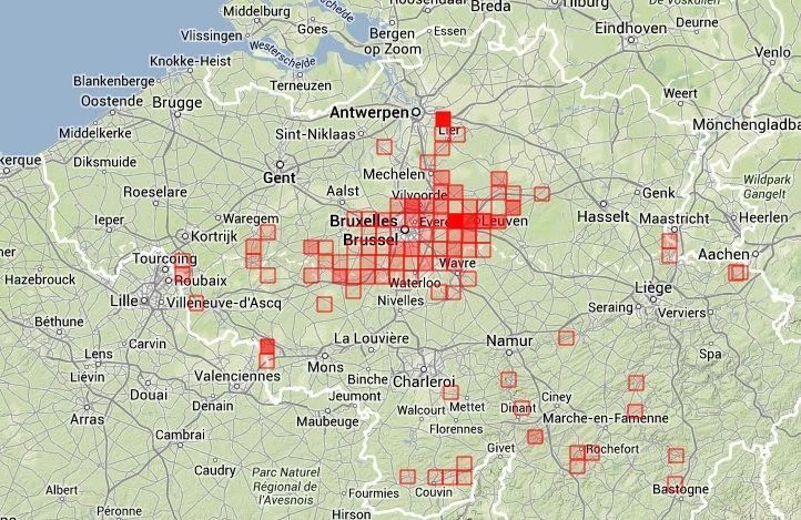 Gerichte zoekacties hebben de kennis over het verspreidingsgebied van de Iepenpage flink vergroot. (foto: waarnemingen.be)