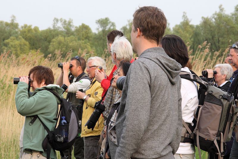 Excursie in de Biesbosch (foto: Albert de Jong)