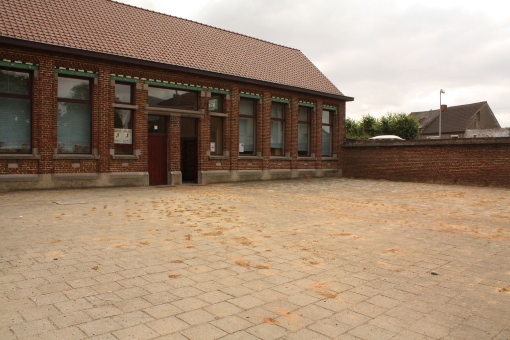 Het plein voor de dorpsbibliotheek is bezaaid met kleine zandhoopjes, afkomstig van nesten van de Pluimvoetbij (Foto: Griet Nijs)