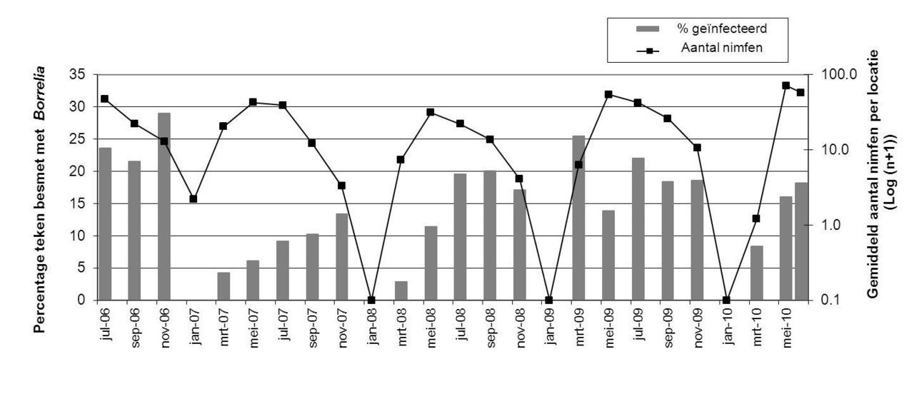 Figuur 2: Tweemaandelijks verloop van Borrelia infectiepercentages in Ixodes ricinus in de periode juli 2006 tot en met juni 2010 (figuur: Wageningen University)
