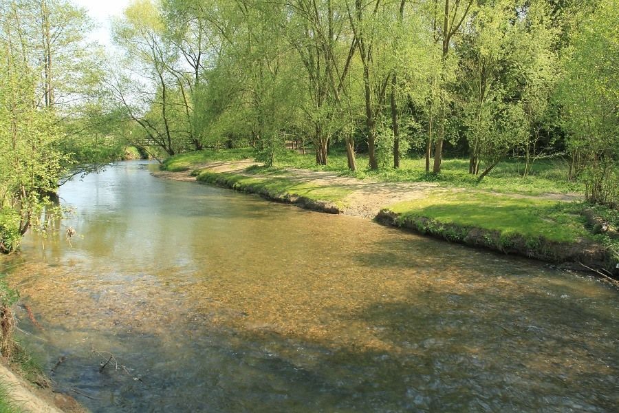 Grind in het riviertje de Geul (foto: Leo Linnartz)