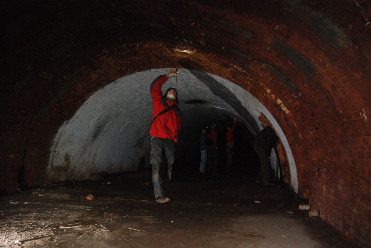 Wintertelling van vleermuizen in steenfabriek bij Wageningen (foto: Jasja Dekker)