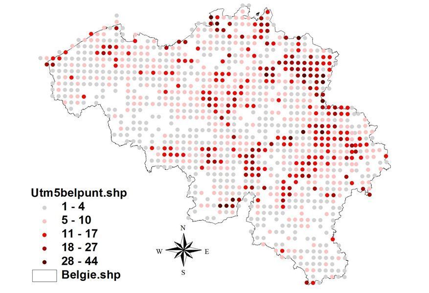 Op de mierenkaart van België licht Limburg rood op. (foto: LIKONA)