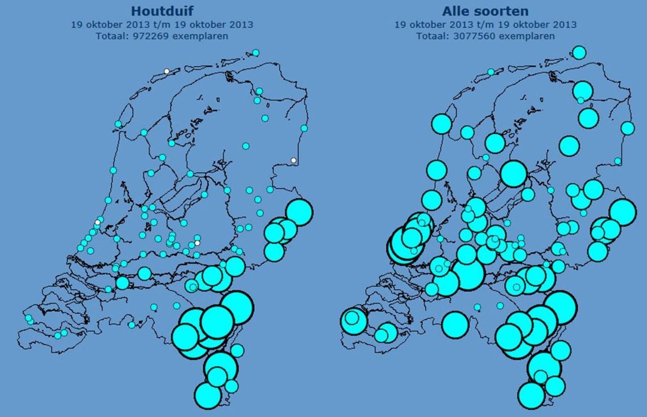 Alle waarnemingen van houtduiven (links) en alle trekvogels (rechts) afgelopen zaterdag per telpost (kaartjes: Sovon)