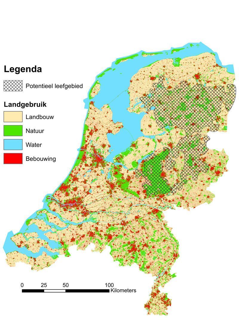 Potentieel leefgebied voor wolven in Nederland