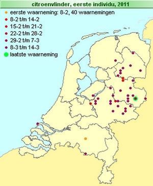 Citroenvlindermeldingen dit jaar tot en met 14 maart (kaartje: De Natuurkalender)