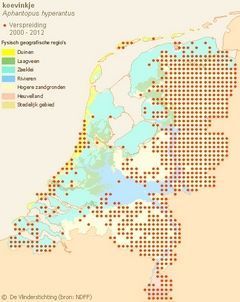 Verspreiding van het koevinkje (bron: Vlindernet)