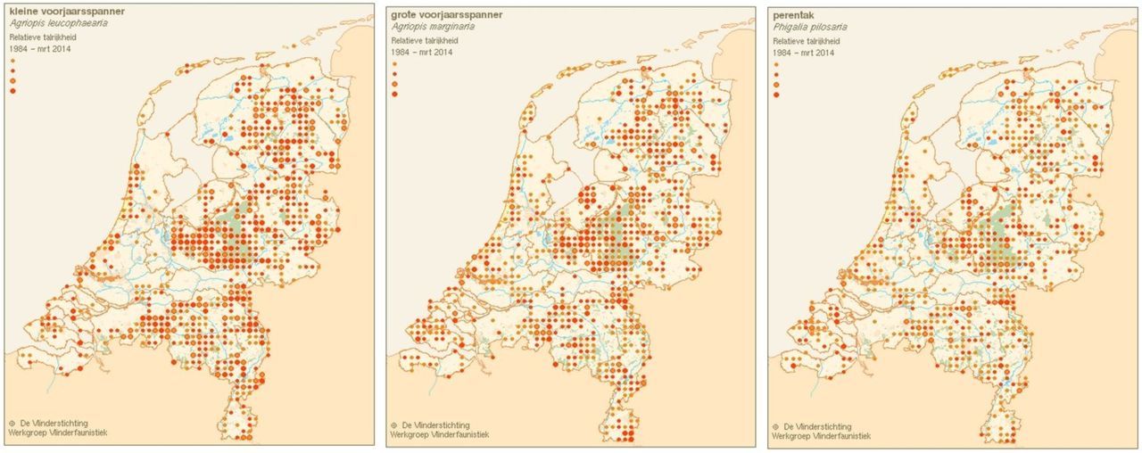 De spanners zijn vooral op de zandgronden te vinden, v.l.n.r. kaartjes kleine en grote voorjaarsspanner en perentak (bron: Vlindernet)