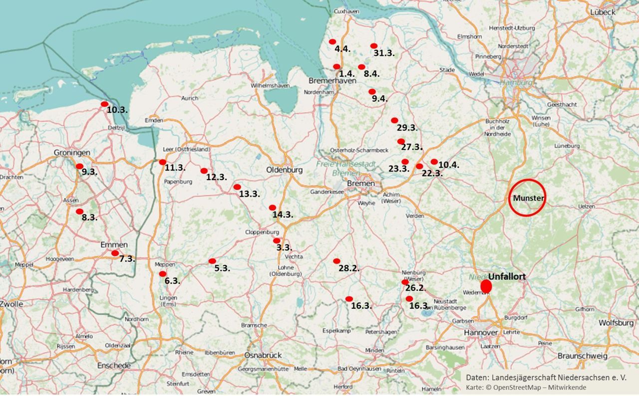 De route van de wolf. Getallen zijn datums (kaart: Landesjägerschaft Niedersachsen)