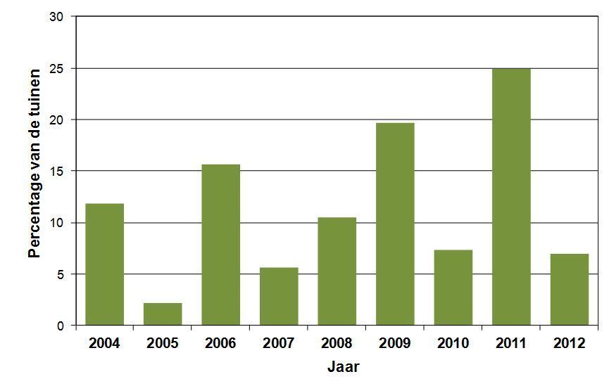 Het voorkomen van Kepen in Vlaamse tuinen verschilt sterk van jaar tot jaar. Uit het percentage van de tuinen waaruit Kepen gemeld werden tijdens het vogeltelweekend begin februari blijkt dat ze in de winter 2010-2011 in het grootste aantal tuinen voorkwamen van het afgelopen decennium. 