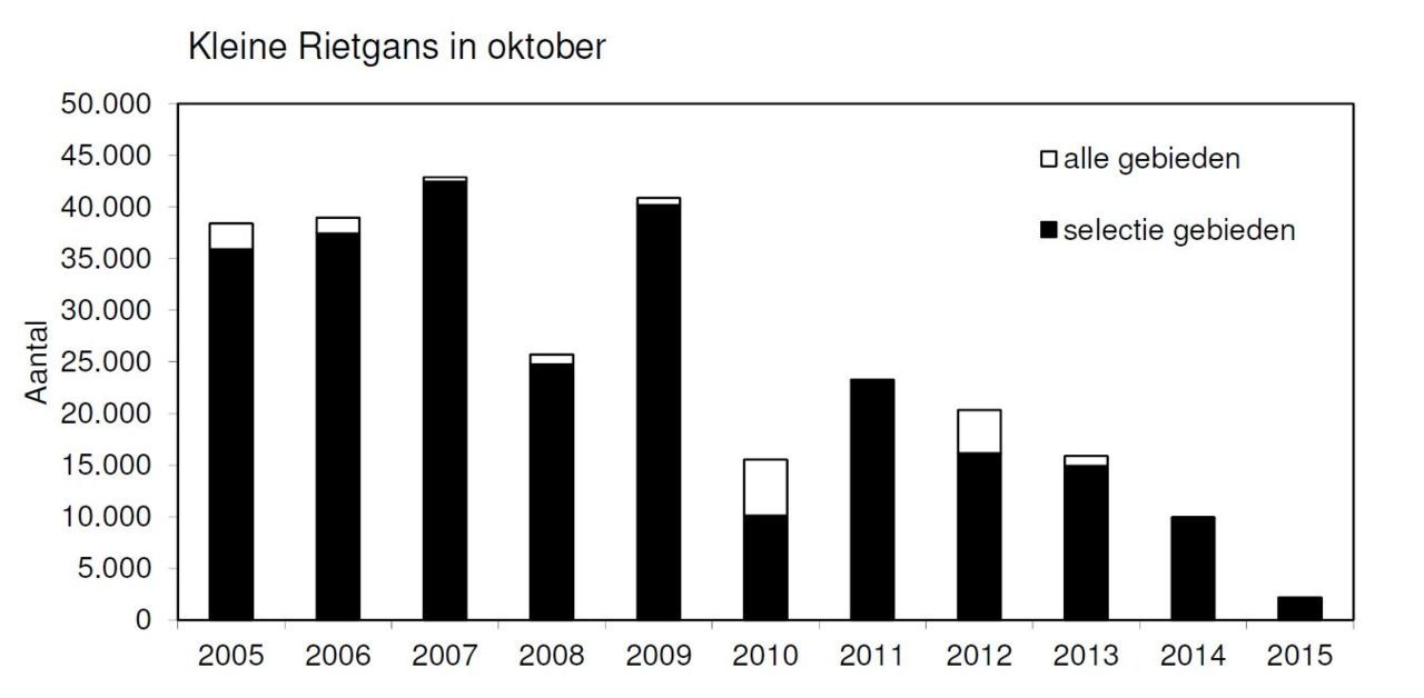 Aantal kleine rietganzen in Nederland (voornamelijk Fryslân) in oktober 2005-2015. De selectie van telgebieden met de zwarte balk werd in alle jaren over de periode 2005-2015 geteld en is dus goed vergelijkbaar. In sommige jaren werden ook nog kleine aantallen gezien in de andere telgebieden (in wit weergegeven) (figuur: Sovon Vogelonderzoek Nederland)