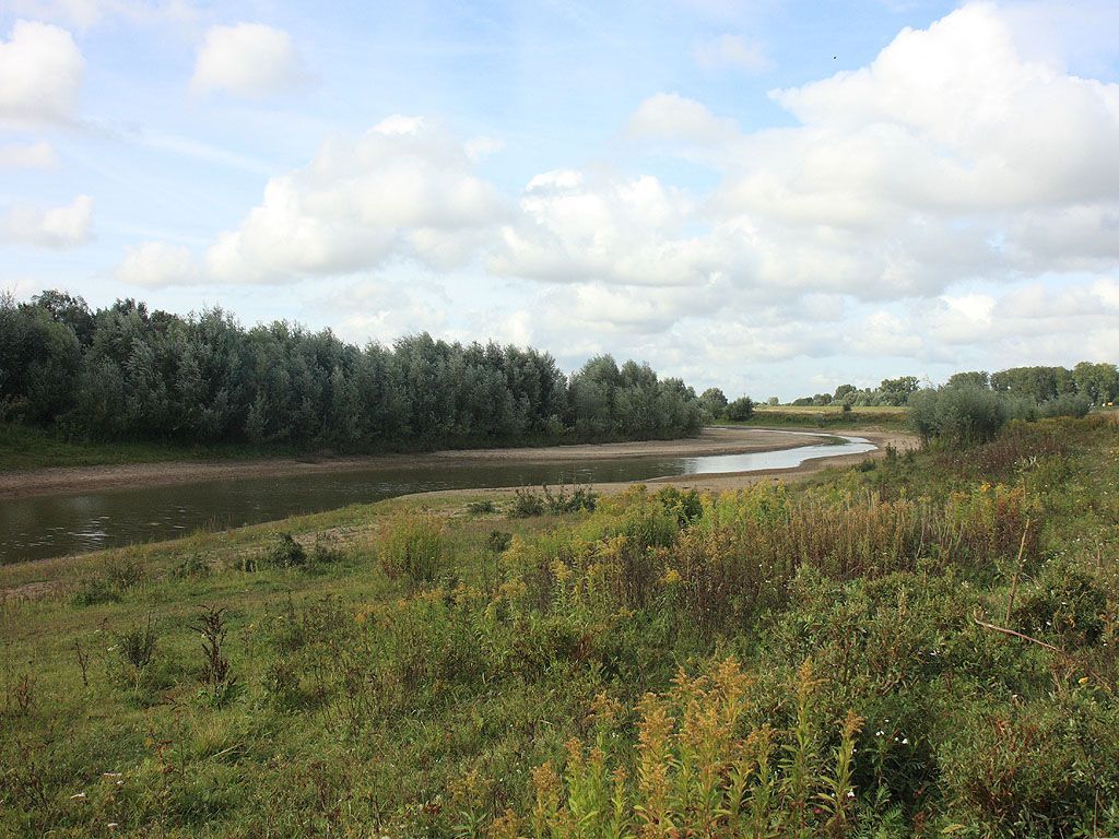 Nevengeul in Klompenwaard, Gelderse Poort (foto: Leo Linnartz)