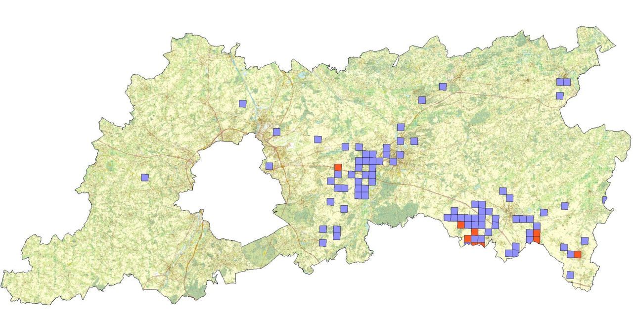 Verspreidingskaart van beemdkroon (paars) en knautiabij (rood) in Vlaams-Brabant tot eind 2012