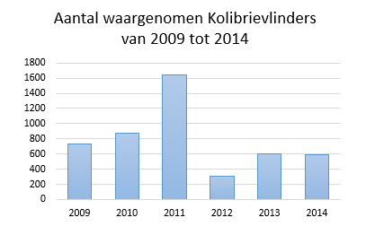 Het aantal waarnemingen van de Kolibrievlinder wisselt sterk naargelang het klimaat (Foto: Natuurpunt Studie)