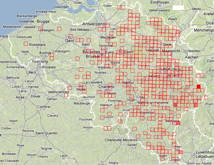 Kraanvogels trokken op 3 en 4 maart 2012 in een zeer breed front over België (bron: www.waarnemingen.be)