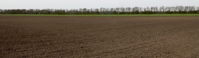 Grootschalig en intensief landbouwgebied wordt woestijn voor vlinders (foto: Kars Veling)