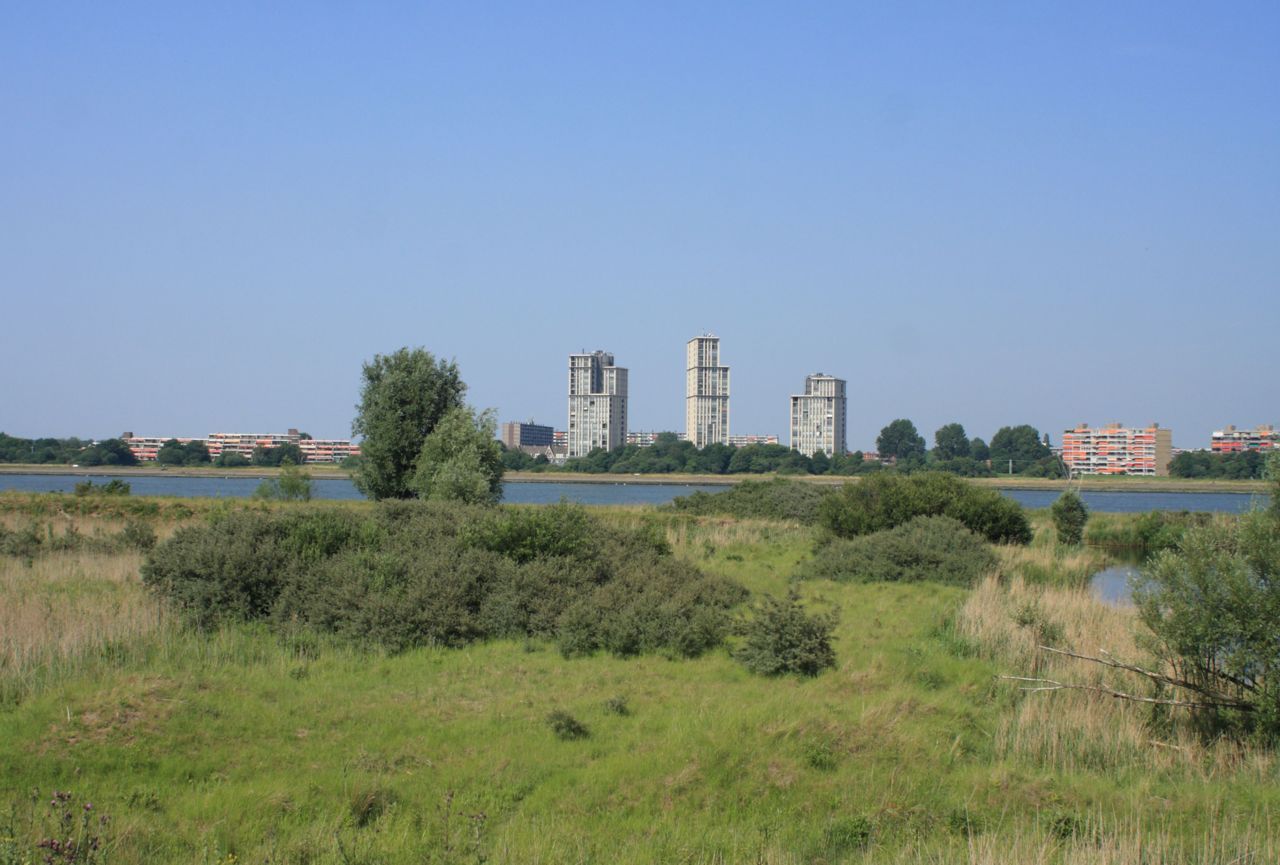 Landtong Rozenburg (foto: Leo Linnartz)