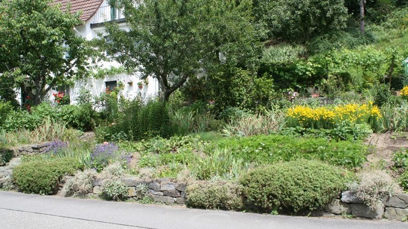 Het leefgebied van scheefbloemwitje in Duitsland, rotstuinen in stad en dorp (foto: Lepiforum.de)