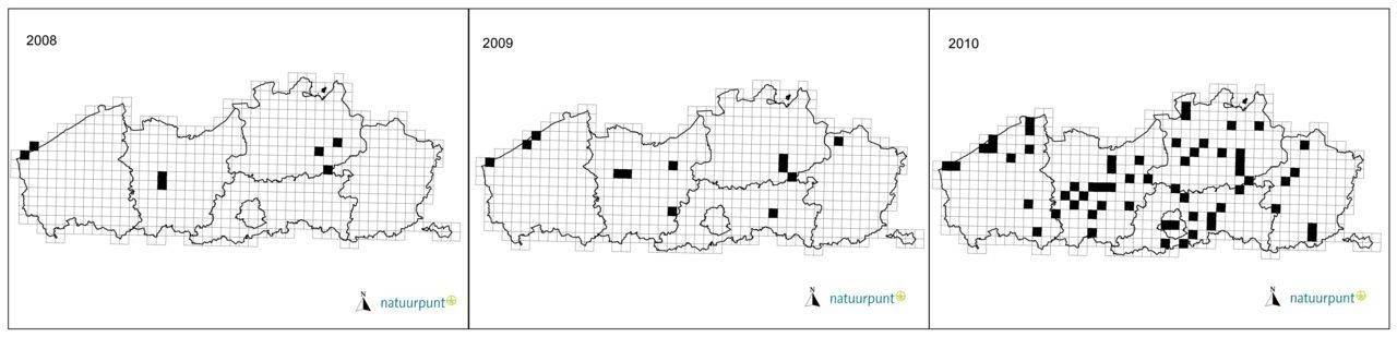 De verspreiding in Vlaanderen van de Bladpootwants in 2008-2009-2010 kan via www.waarnemingen.be op de voet gevolgd worden (kaart: Natuurpunt Studie, bron: Waarnemingen.be)