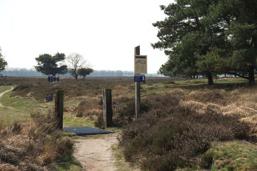 Mantingerveld (foto: Roeland Vermeulen)