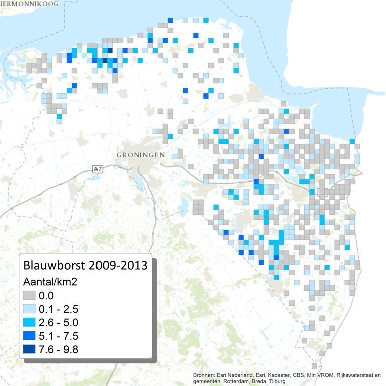 Relatieve dichtheden van de blauwborst in Groningen, op basis van MAS-tellingen.  In dichte akkergewassen als koolzaad zullen de aantallen onderschat zijn. Uit: Analyse Effectiviteit van het Akkervogelbeheer in provincie Groningen. (kaart: Werkgroep Grauwe Kiekendief)