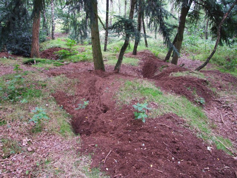 Dassenburcht (foto: Rudmer Zwerver)