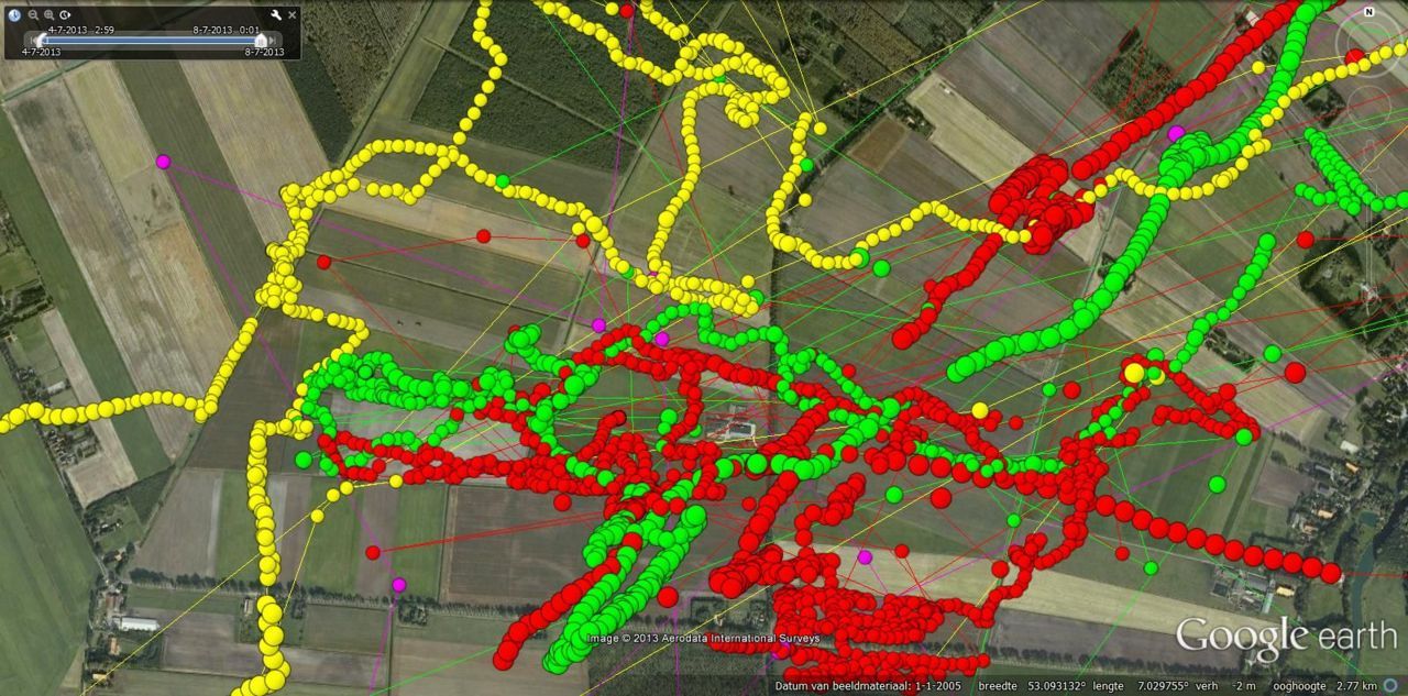 Vier dagen aan GPS-punten van het loggermannetje Morri, augustus 2013 (kaart: Werkgroep Grauwe Kiekendief)