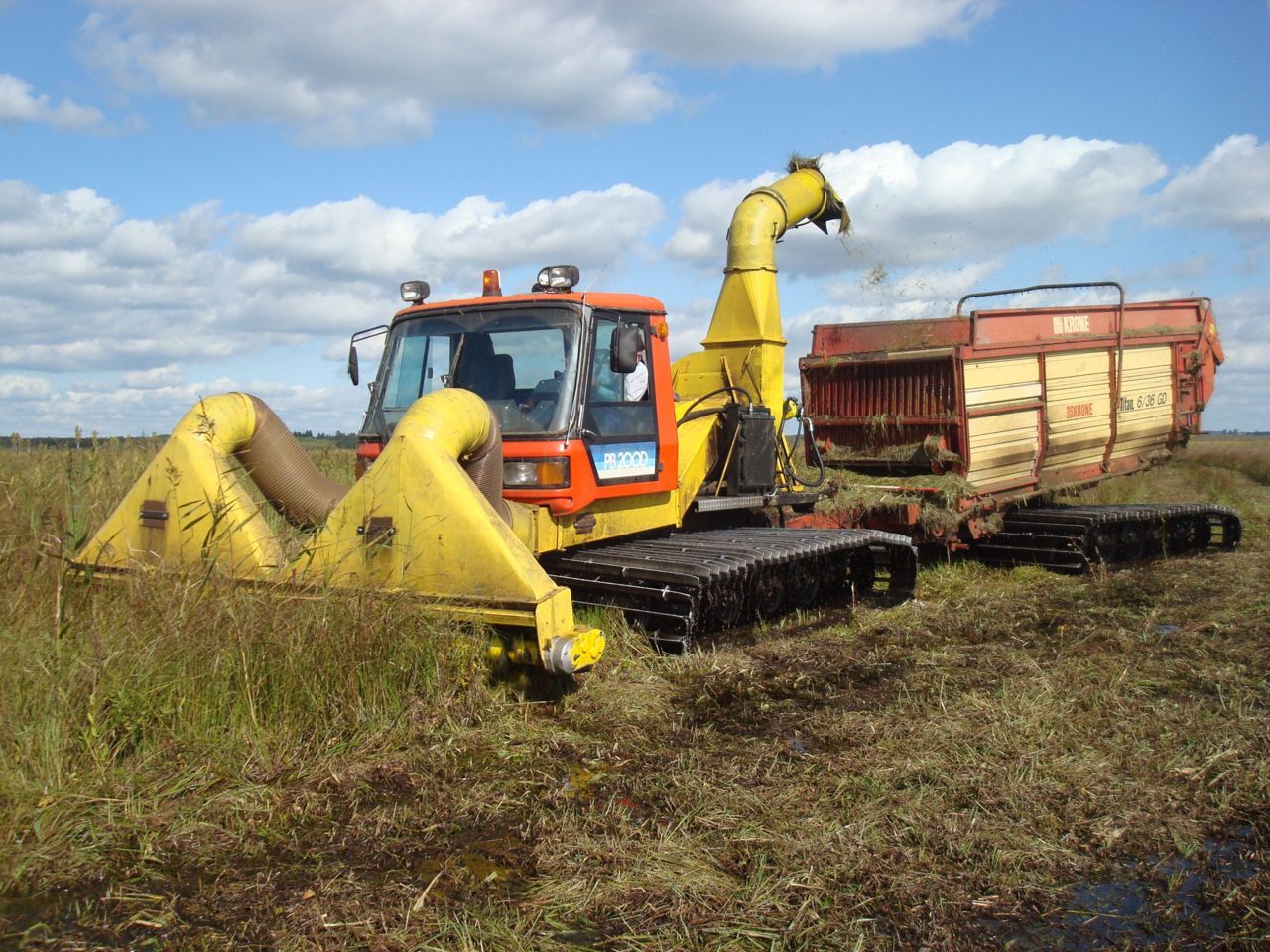 Door het inzetten van speciale maaimachines wordt schade aan het broedbiotoop van de Waterrietzanger verhinderd (foto: Lars Lachmann)