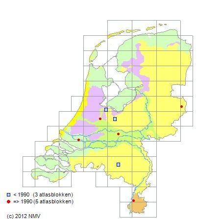 Verspreiding van het Geel stromakelkje (afbeelding: Verspreidingsatlas.nl)
