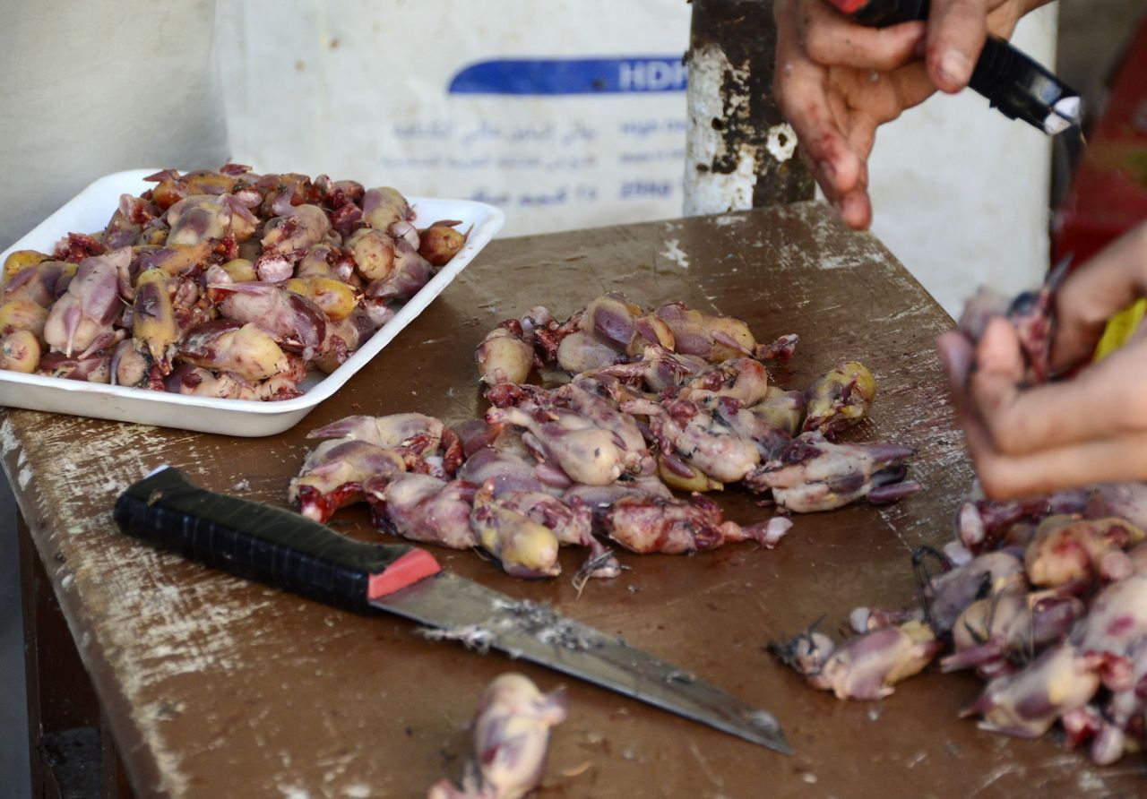 Onze Europese broedvogels na de oogst. (Foto: Holger Schulz-NABU)