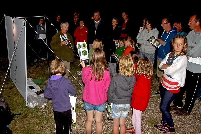 Nachtvlinderen is een spannend gebeuren, voor jong en oud (foto: Kars Veling)