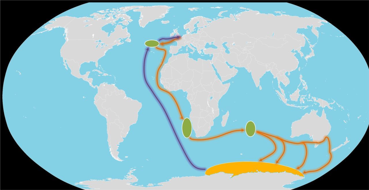 Route Nederlandse noordse sterns (foto: Vogelbescherming Nederland)