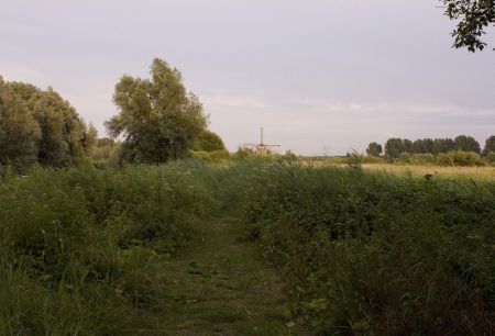 Onderzoeksgebied Koudenhoorn (foto: René Wanders)