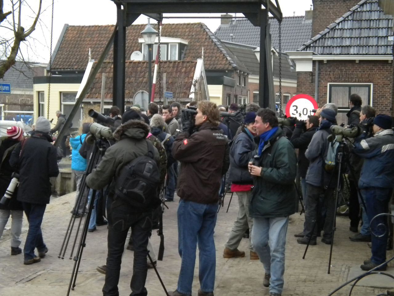 De sensationele ontdekking van een Oosterse tortelduif midden in het rustieke Friese plaatsje Warga bracht in januari 2010 honderden vogelaars op de been, en betekende een nieuwe soort voor de Nederlandse lijst van vogelsoorten (foto: Gijsbert van der Bent)