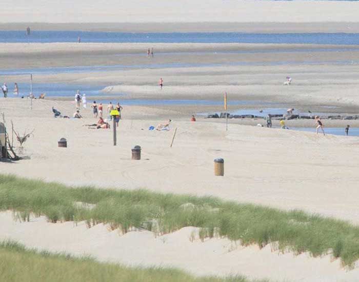 Bedrijvigheid op Zandmotor (foto: Leo Linnartz)