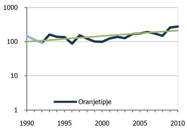 Trend oranjetipje tussen 1990 en 2010 (bron: NEM, Landelijk Meetnet Vlinders)