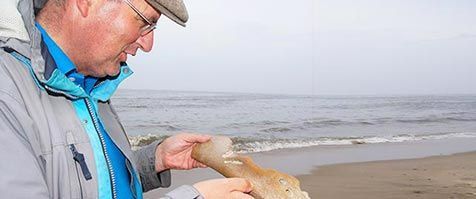 Een gevonden orkabot op het strand (foto: Sytske Dijksen)