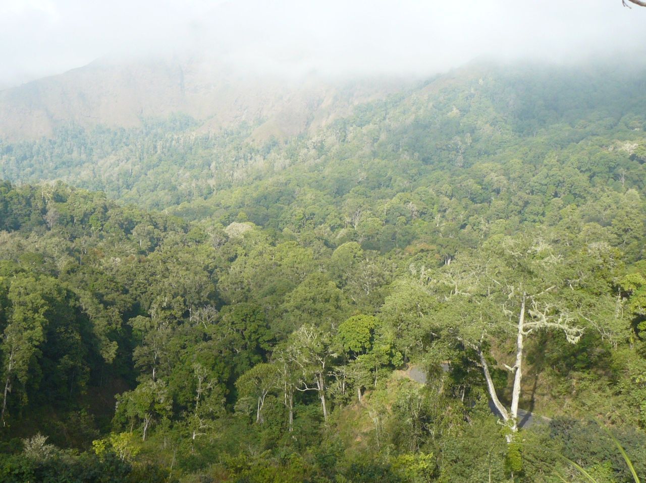 Gunung Rinjani, de thuisbasis van de nieuwe dwergooruil op Lombok (foto: Filip Verbelen)