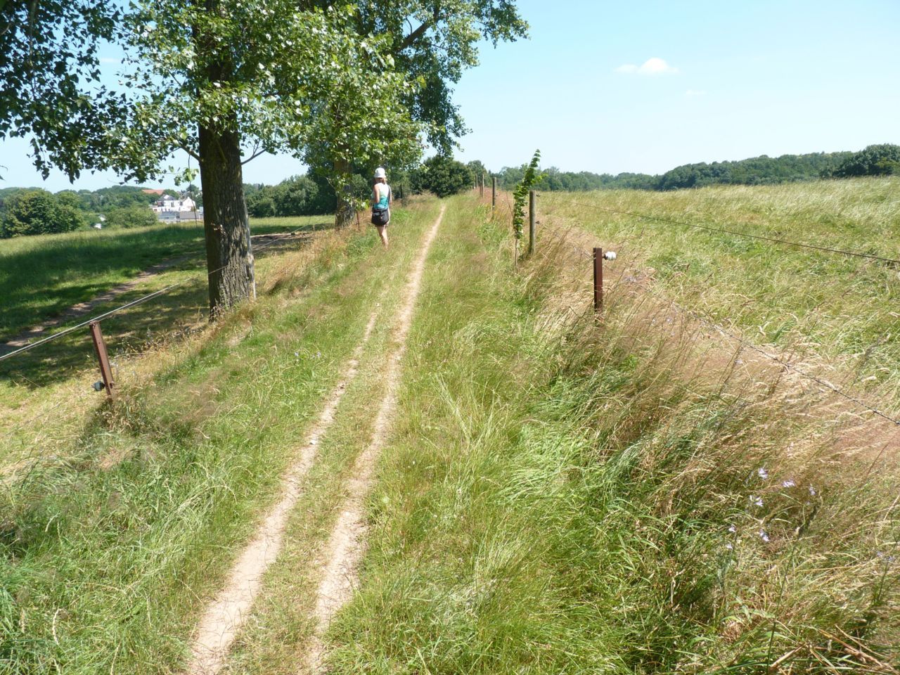 Vindplaats Donkere klokjeszandbij (foto: Jens D’Haeseleer)