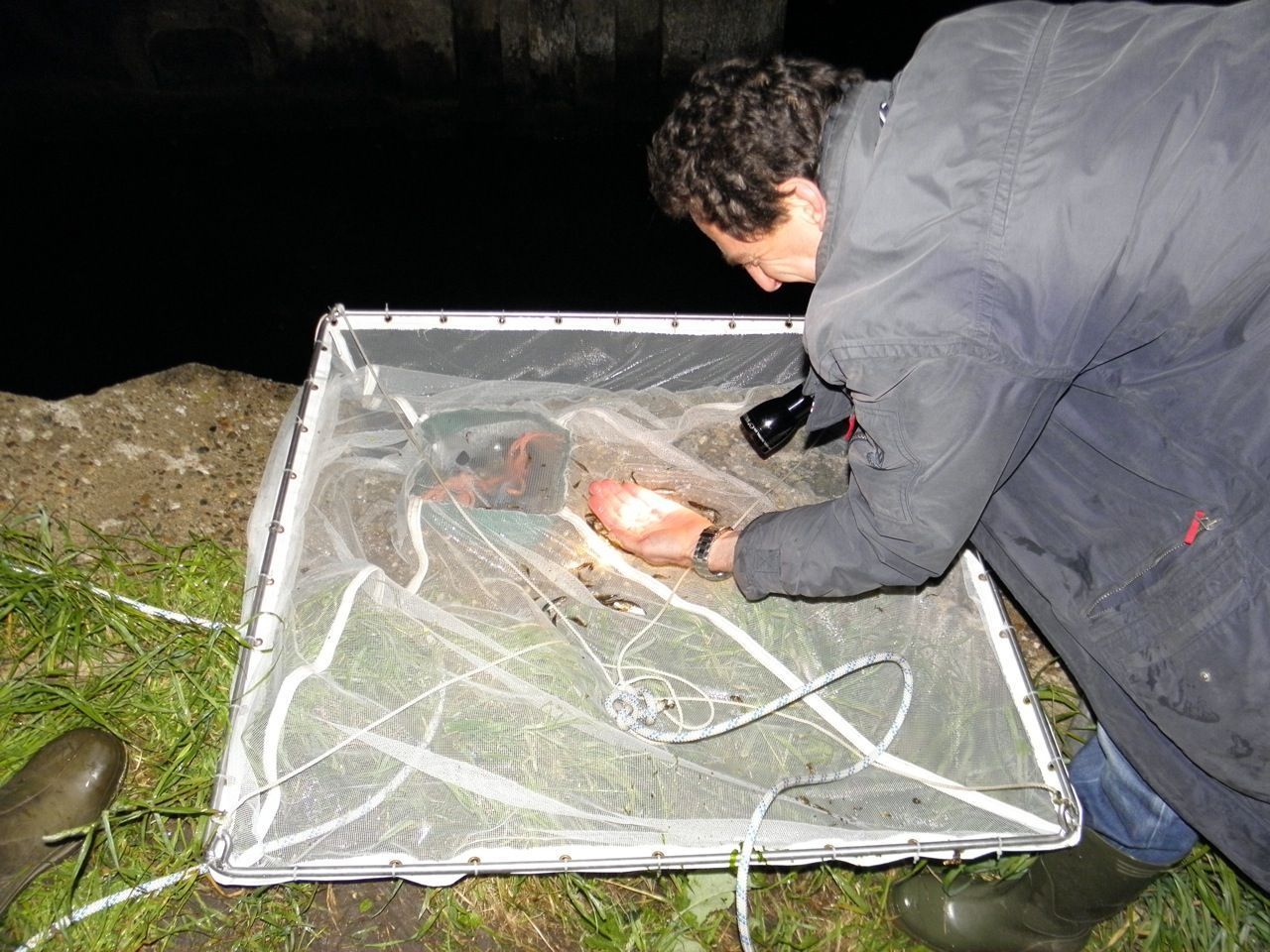 Vismonitoring met een kruisnet in het Noordzeekanaal (foto: Edo Goverse)