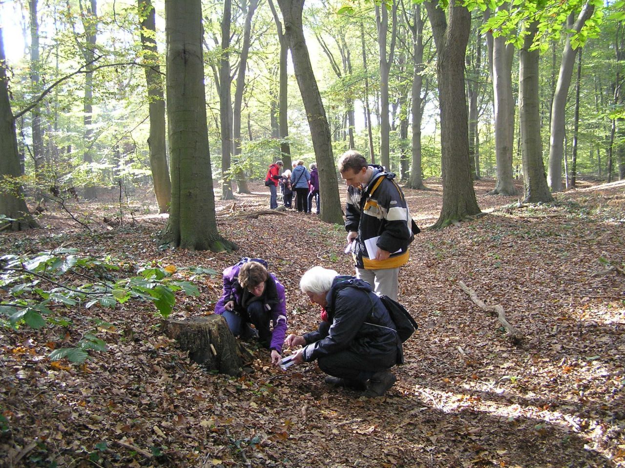 Paddenstoelen inventariseren door vrijwilligers van de KNNV op de Wageningse Berg (foto: Willem Wielemaker)