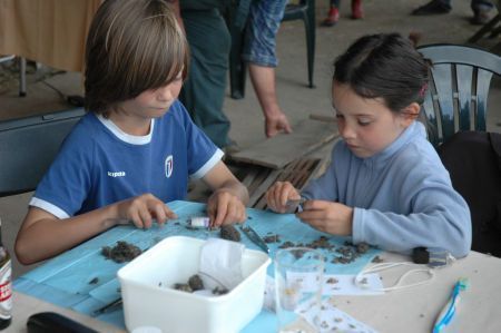 Kinderen pluizen braakballen (foto: Paul van Daele)