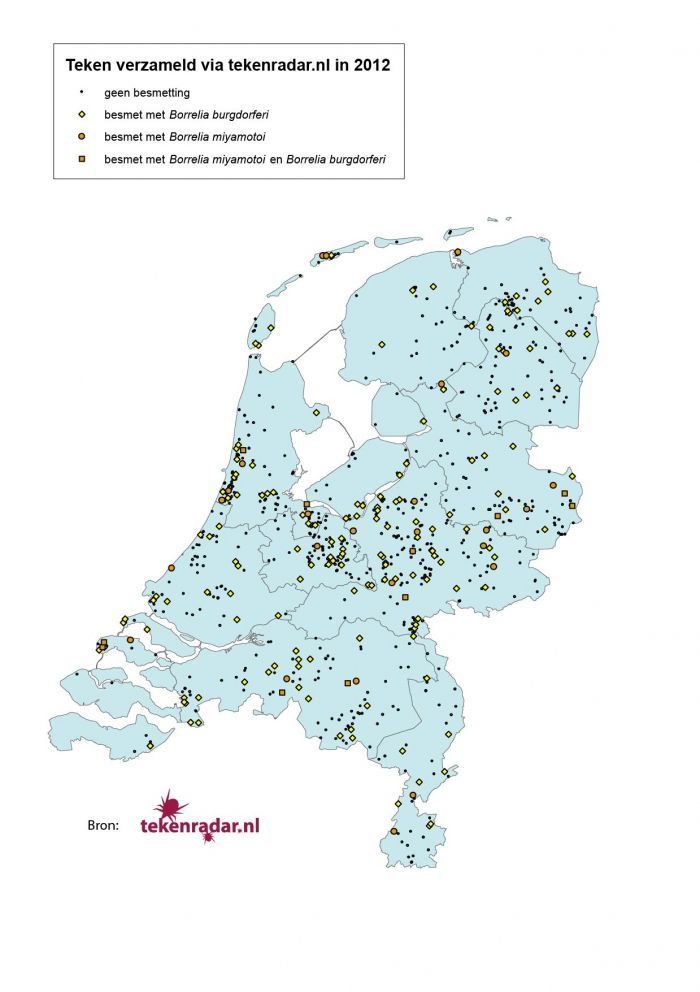 Spreidingskaart van teken besmet met Borrelia burgdorferi en Borrelia miyamotoi. De teken zijn verzameld via online gemelde tekenbeten op Tekenradar.nl (bron: RIVM)