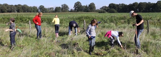 500 planten gingen de grond in (foto: Kars Veling)