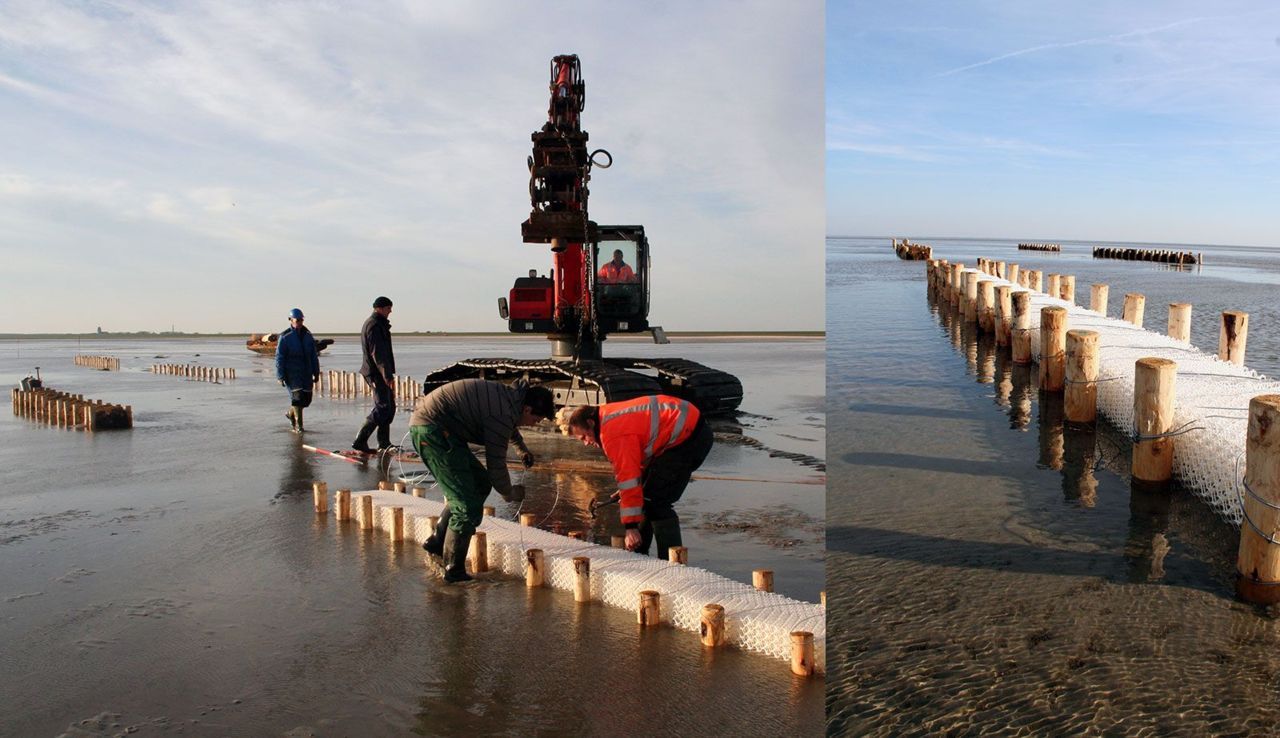 Plaatsing van de biologisch afbreekbare kratjes en kokosmatten ten zuiden van de Feugelpôlle kwelder te Ameland (foto’s: Marjan Veenendaal)