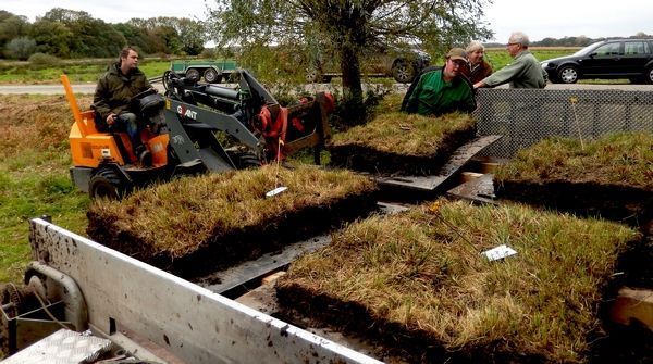 De plaggen zijn genummerd en worden niet gestapeld maar liggen vrij op de aanhanger. Per entlocatie worden de genummerde plaggen op een tevoren bepaalde plaats geënt (foto: Kars Veling)