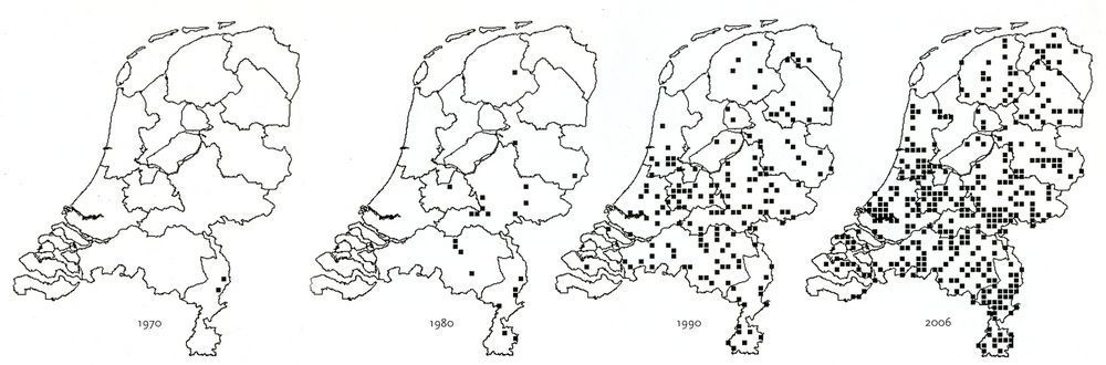 De verspreiding van de plataanvouwmijnmot vanaf 1970 (bron: Stichting Tinea)